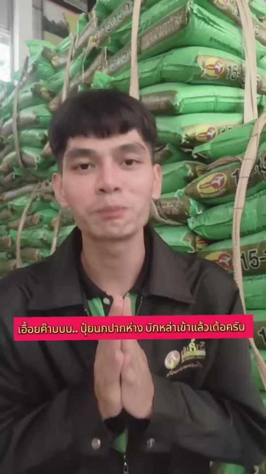 งอกดี แตกกอไว  ให้ผลผลิตสม่ำเสมอ